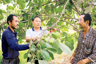 因为他,我们的生活都明亮了 ——记新疆麦盖提县库木库萨尔乡托万哈迪勒克村党支部书记黄英杰(图1)