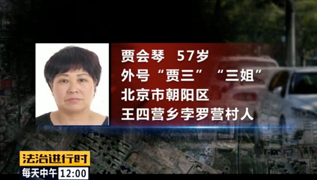 北京朝阳58岁“女村霸” 欺行霸市14年,获刑15年(图1)