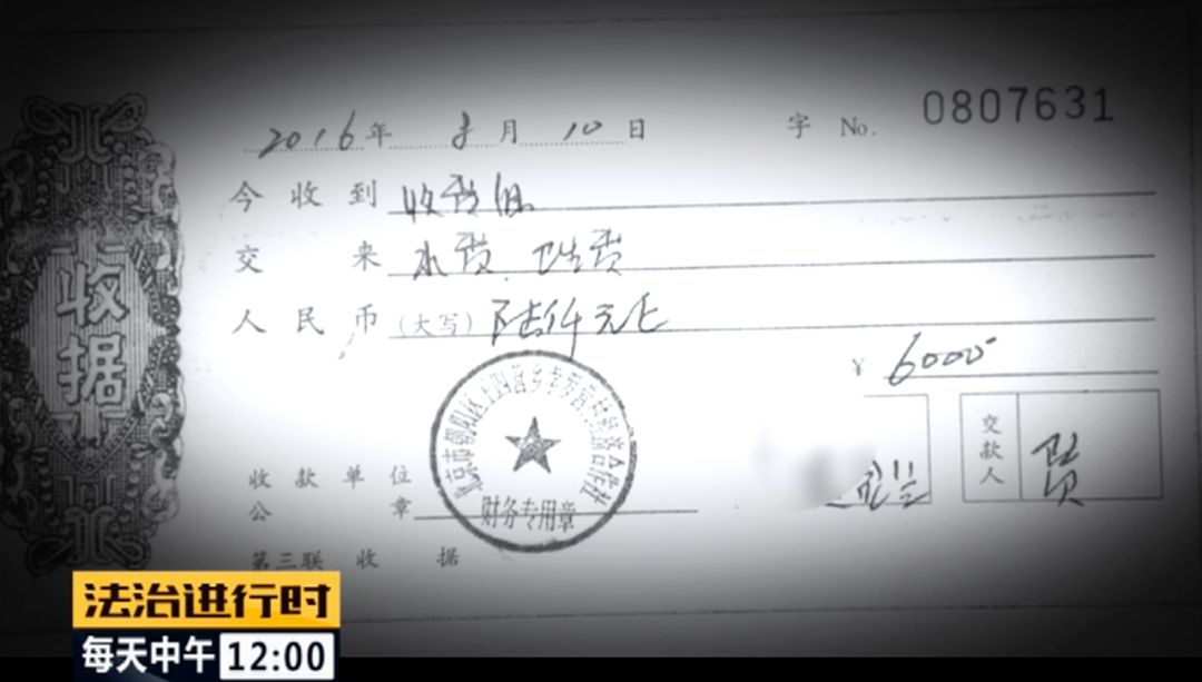 北京朝阳58岁“女村霸” 欺行霸市14年,获刑15年(图10)