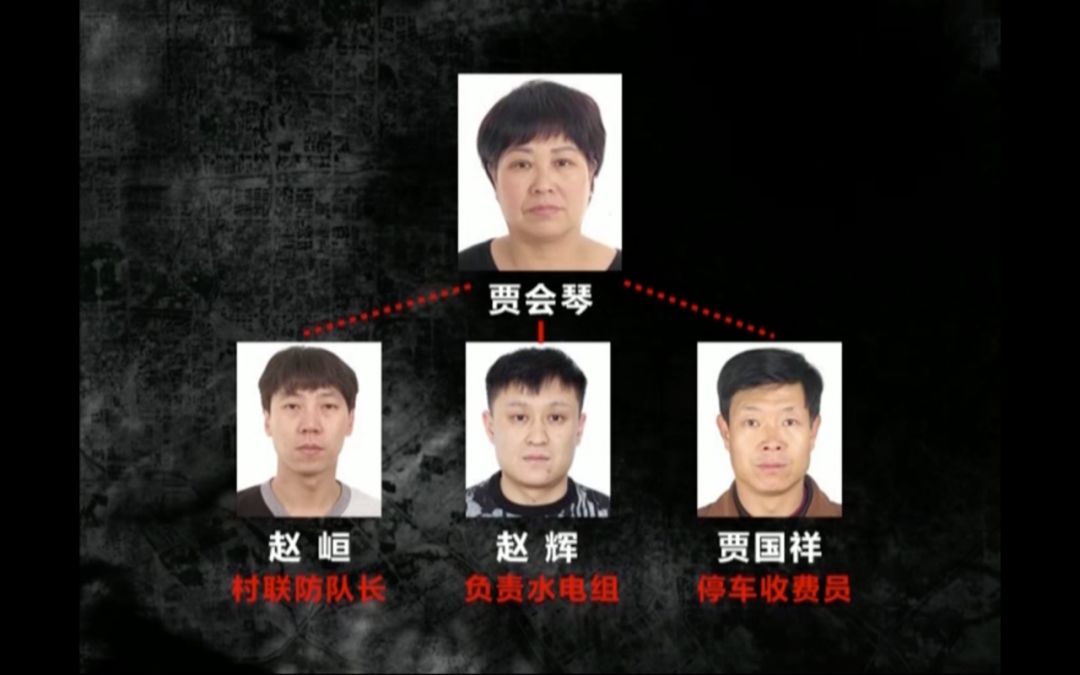 北京朝阳58岁“女村霸” 欺行霸市14年,获刑15年(图15)