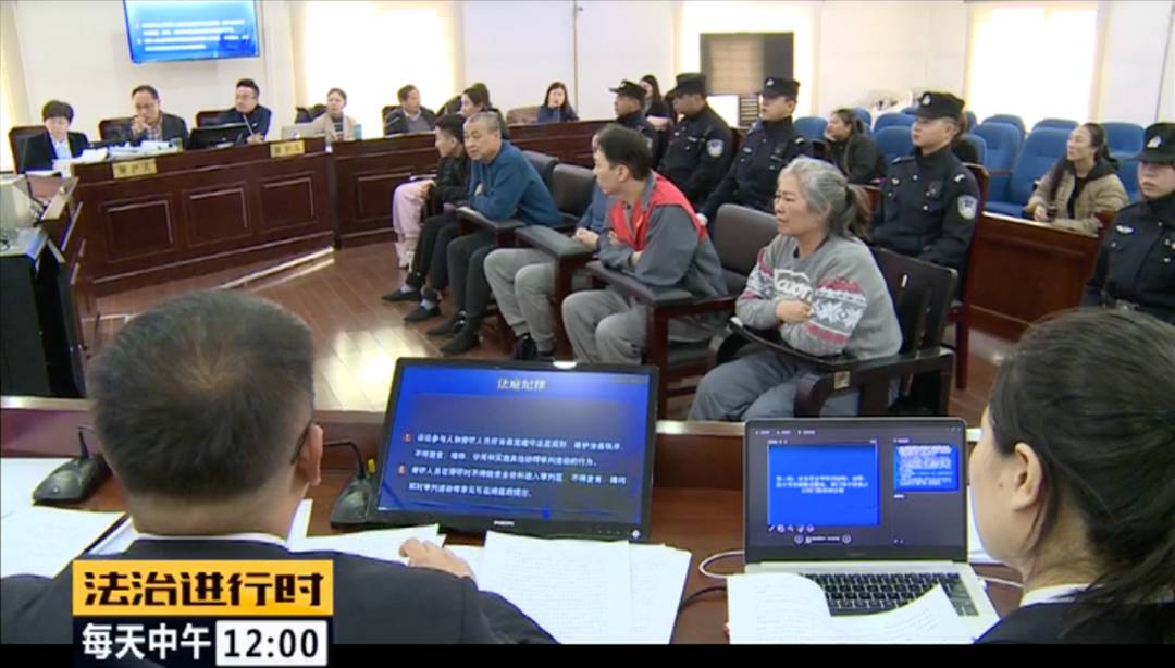 北京朝阳58岁“女村霸” 欺行霸市14年,获刑15年(图37)