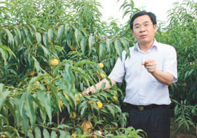 用生命兑现庄严承诺 ——追记“全国脱贫攻坚模范”黄诗燕(图1)