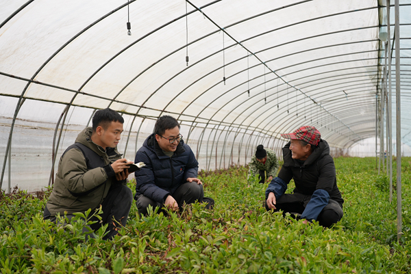 把汗水挥洒在希望的田野 ——记江西省脱贫攻坚先进集体、九江市纪委监委(图1)