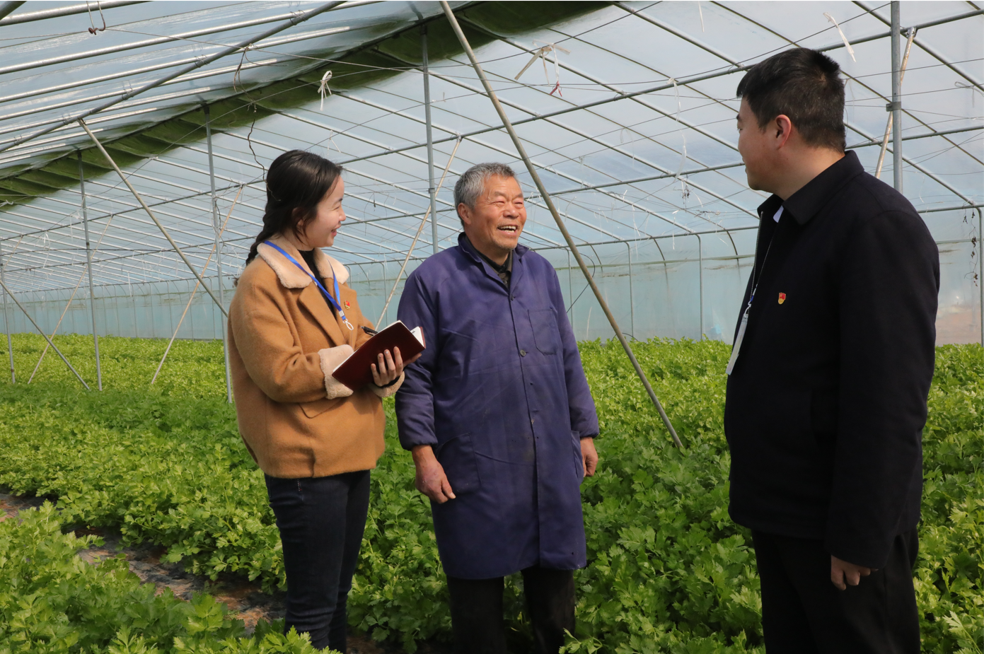整治群众身边腐败和不正之风(图1) 整治群众身边腐败和不正之风(图1)