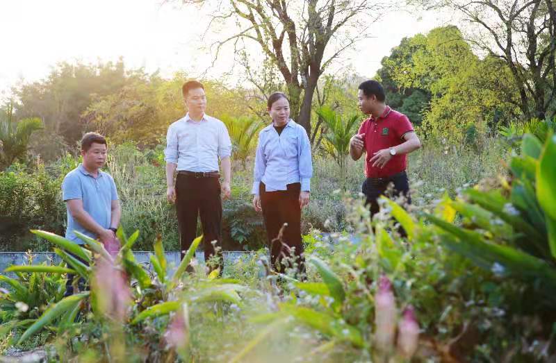 查就查个水落石出 办就办个板上钉钉 ——记全国三八红旗手、海南省儋州市纪委常委吴烨(图1)