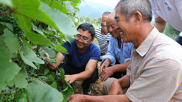来自乡村振兴一线干部的书信(图1)