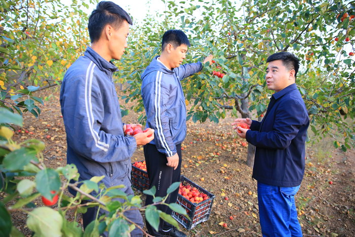 林区“啄木鸟”——记全国人民满意的公务员,内蒙古阿荣旗旗委常委,纪委书记、监委主任马超(图1) 林区“啄木鸟”——记全国人民满意的公务员,内蒙古阿荣旗旗委常委,纪委书记、监委主任马超(图1)