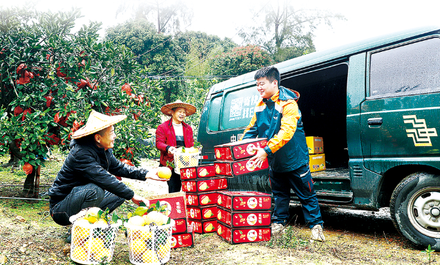 电商快车跑出乡村振兴加速度(图3) 电商快车跑出乡村振兴加速度(图3)
