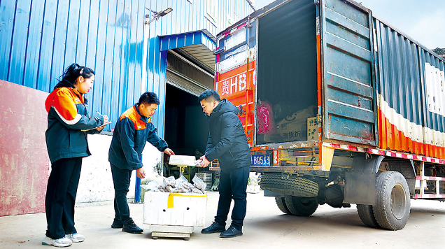 电商快车跑出乡村振兴加速度(图1) 电商快车跑出乡村振兴加速度(图1)