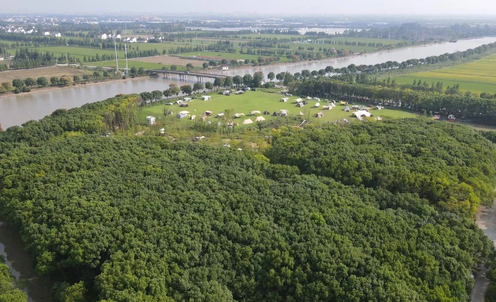 长三角一体化,是怎样的“一”体化?(图5)